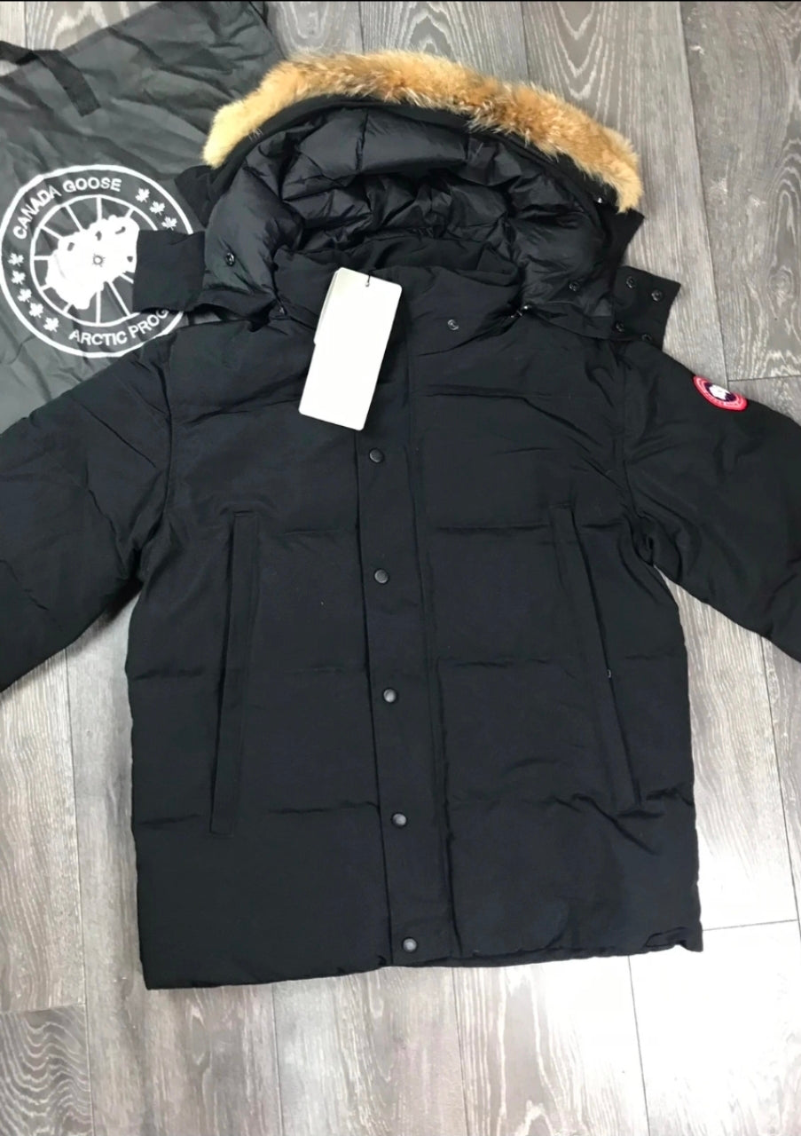 CanadaGoose wyndham parka